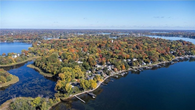 4877 Island View Dr, Mound, MN 55364 - photo 5