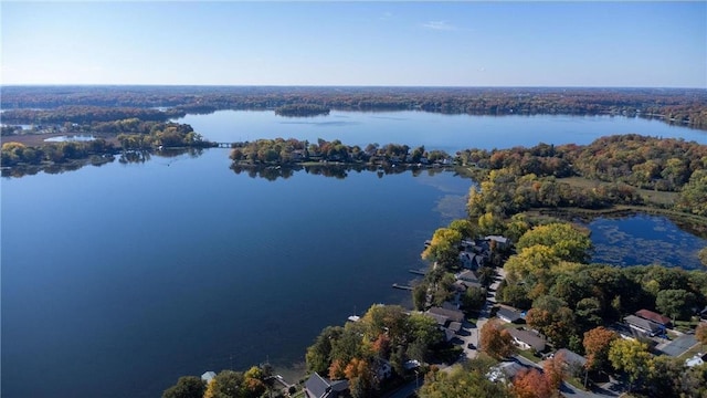 4877 Island View Dr, Mound, MN 55364 - photo 6