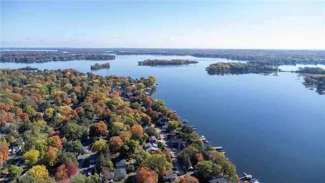 4877 Island View Dr, Mound, MN 55364 - photo 8