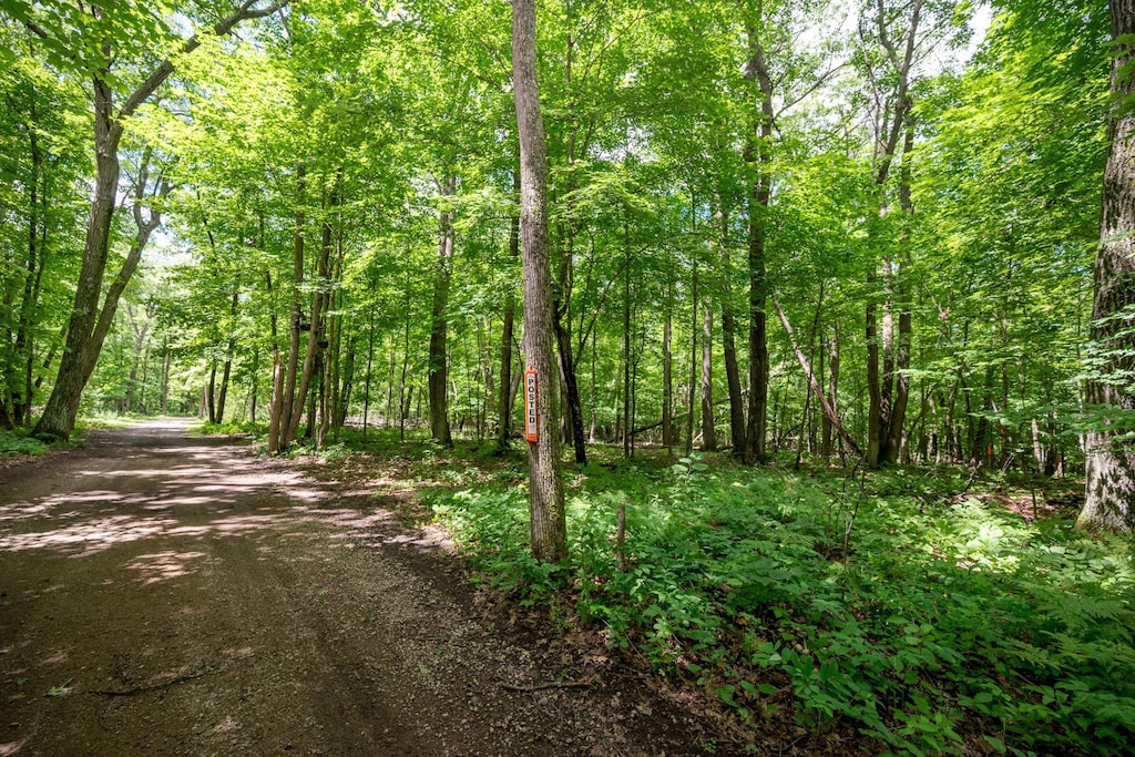 TBD Guilford Rd, Deerwood, MN 56444 - photo 1