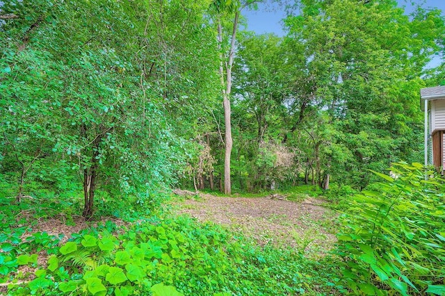 1293 Arkwright St, Saint Paul, MN 55130 - photo 2
