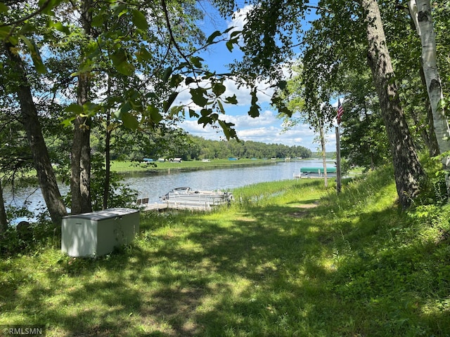 21674 480th St, Mcgregor, MN 55760 - photo 4