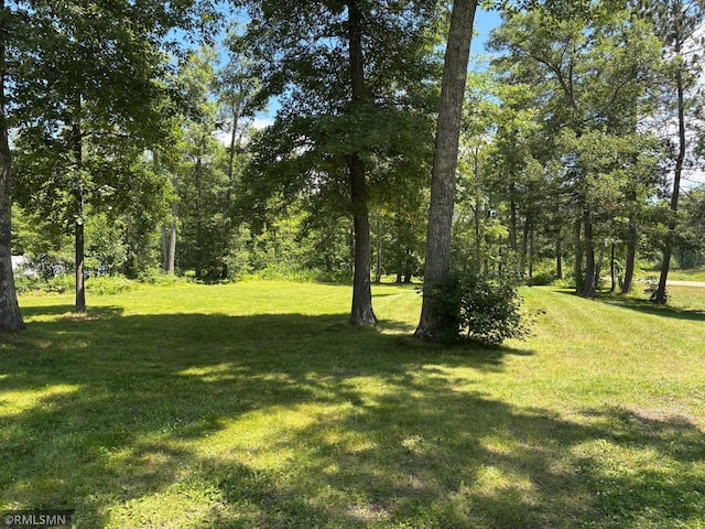 21674 480th St, Mcgregor, MN 55760 - photo 33