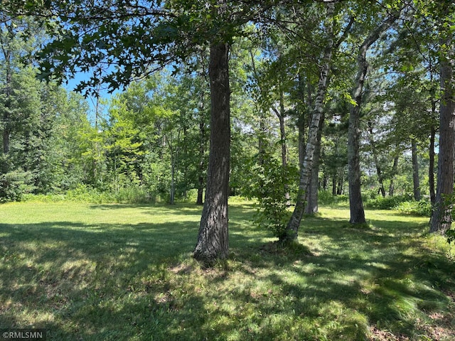 21674 480th St, Mcgregor, MN 55760 - photo 34