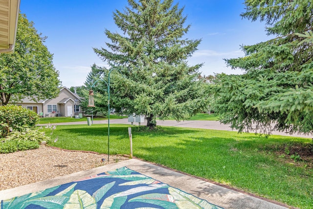 430 Hayes Dr Unit 62, Hastings, MN 55033 - photo 8