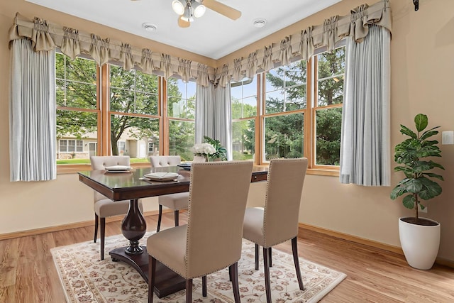 430 Hayes Dr Unit 62, Hastings, MN 55033 - photo 9