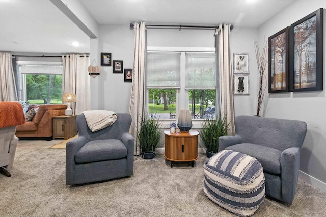 1311 Rosewood St, Brainerd, MN 56401 - photo 7