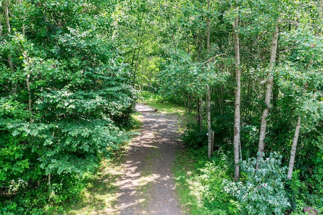 25322 Mansfield Rd, Webster, WI 54893 - photo 5