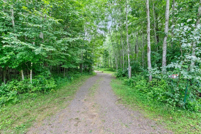 25322 Mansfield Rd, Webster, WI 54893 - photo 8
