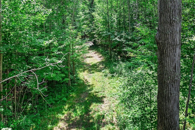 25322 Mansfield Rd, Webster, WI 54893 - photo 25