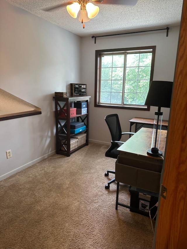 11036 Hanson Blvd NW Unit 20, Coon Rapids, MN 55433 - photo 8