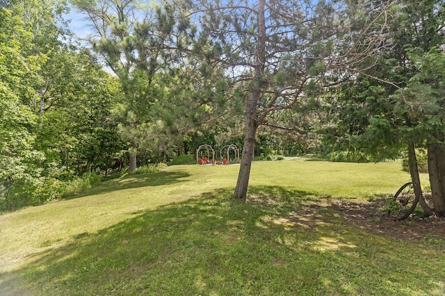 12010 253rd Ave NW, Livonia Twp, MN 55398 - photo 29