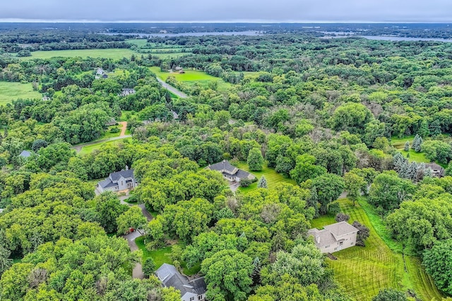 2350 Longview Cir, Orono, MN 55356 - photo 42