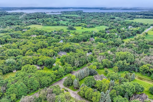 2350 Longview Cir, Orono, MN 55356 - photo 43