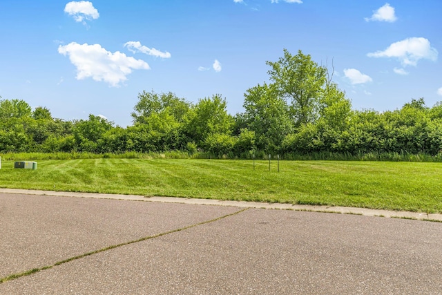213 Appaloosa Ct, Braham, MN 55006 - photo 4