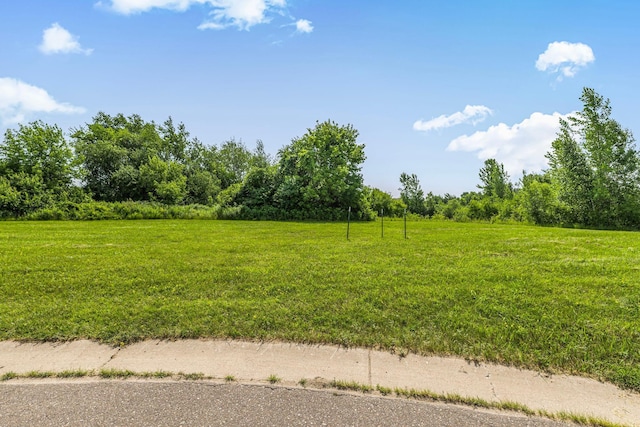 213 Appaloosa Ct, Braham, MN 55006 - photo 6