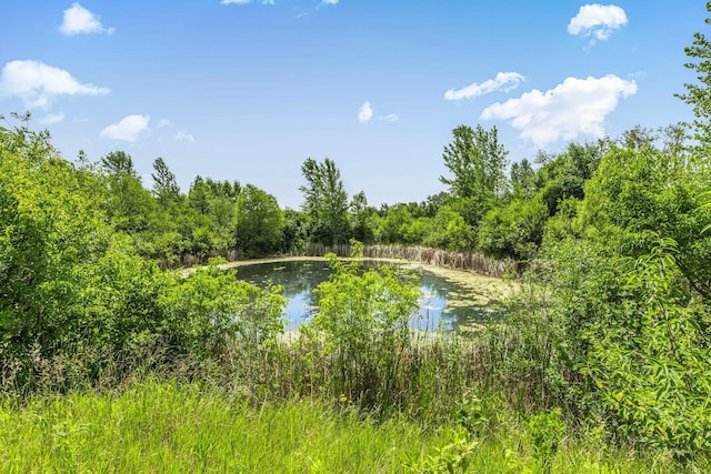 213 Appaloosa Ct, Braham, MN 55006 - photo 8