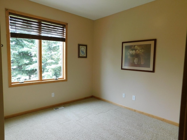 2728 116th Ave NE, Blaine, MN 55449 - photo 29