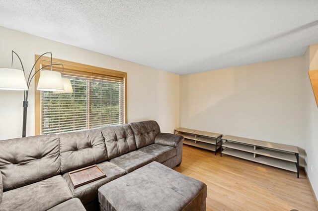 16113 71st Ln NE, Otsego, MN 55330 - photo 6