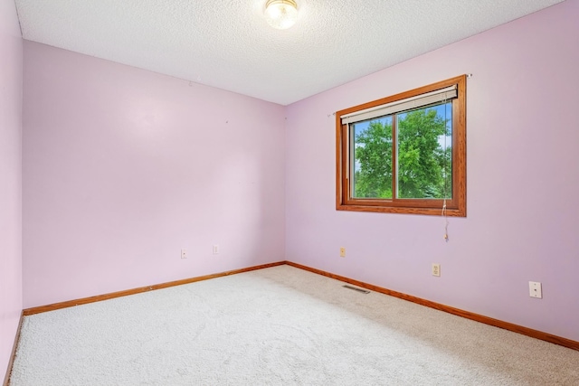 6314 172nd Ln NW, Ramsey, MN 55303 - photo 29