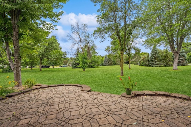 6314 172nd Ln NW, Ramsey, MN 55303 - photo 42