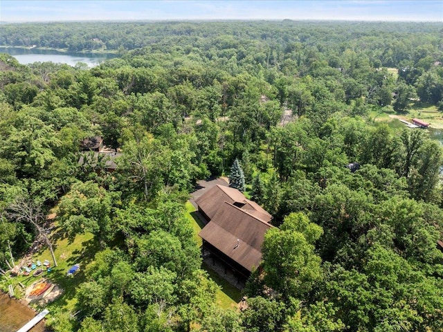 33811 Winnamakee Shores Rd, Pequot Lakes, MN 56472 - photo 25