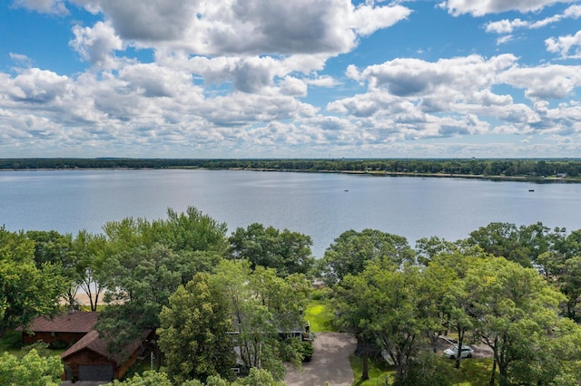 13772 Memorywood Dr, Baxter, MN 56425 - photo 41