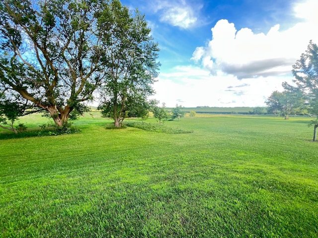 18952 County 1, Spring Valley, MN 55975 - photo 31