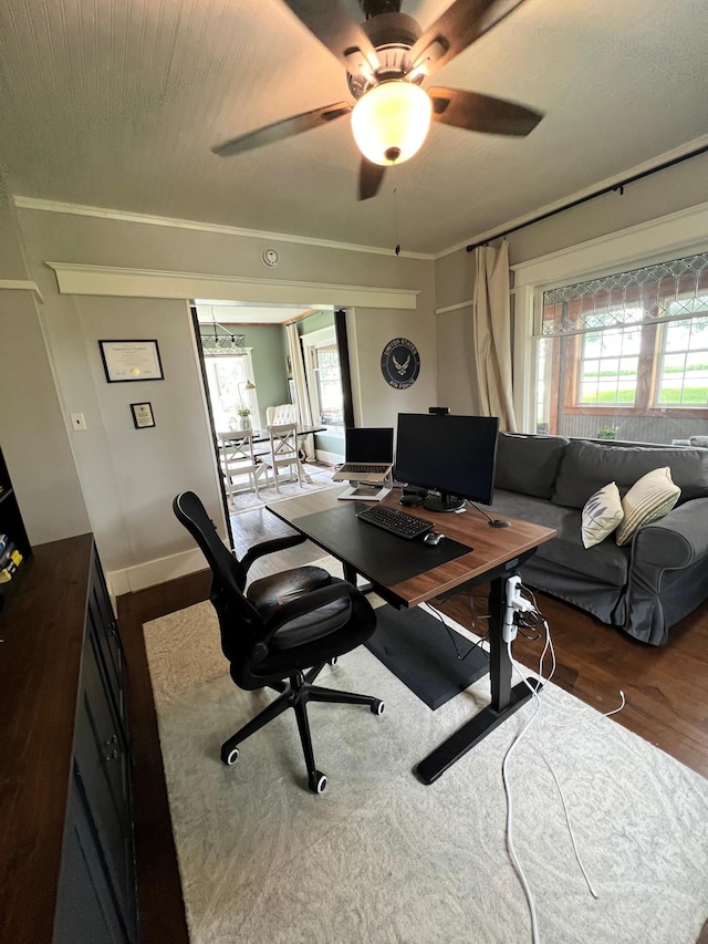 18952 County 1, Spring Valley, MN 55975 - photo 11
