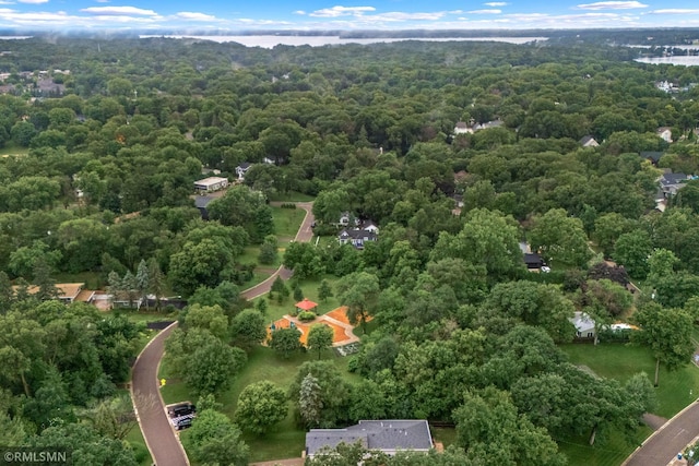 16610 Cottage Grove Ave, Minnetonka, MN 55391 - photo 56