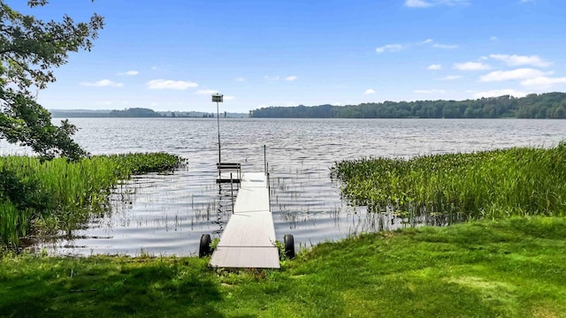 25235 432nd Ln, Jevne Twp, MN 55760 - photo 40