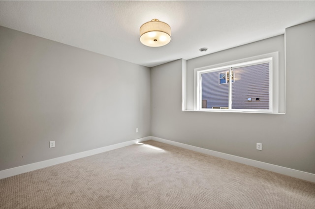 27130 Petes Hill Trl, Elko New Market, MN 55020 - photo 55
