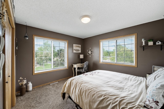 11019 Douglas Ln N, Champlin, MN 55316 - photo 22