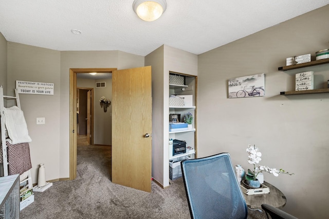 11019 Douglas Ln N, Champlin, MN 55316 - photo 25