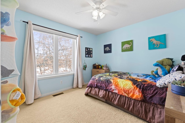 3950 195th Ln NW, Oak Grove, MN 55303 - photo 22