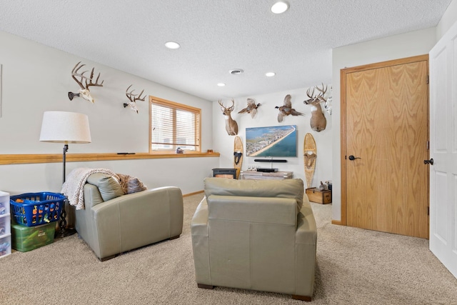 3950 195th Ln NW, Oak Grove, MN 55303 - photo 24