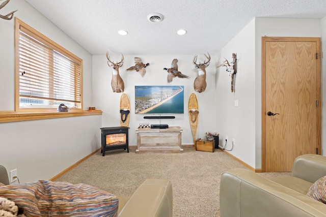 3950 195th Ln NW, Oak Grove, MN 55303 - photo 25