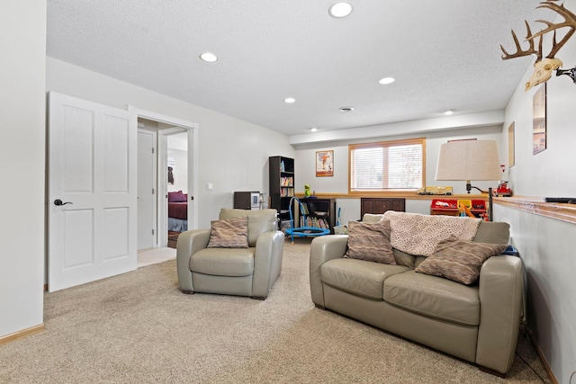 3950 195th Ln NW, Oak Grove, MN 55303 - photo 26
