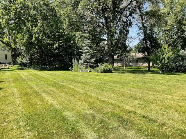 16010 14th Ave N, Plymouth, MN 55447 - photo 5