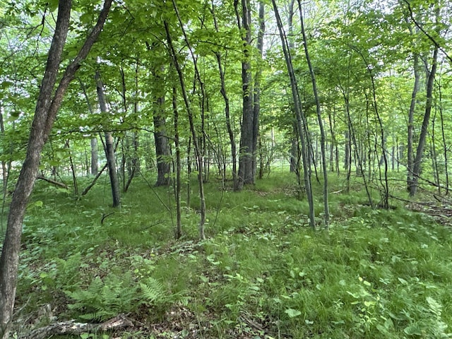 TBD Old 35 Bypass, Siren, WI 54872 - photo 6