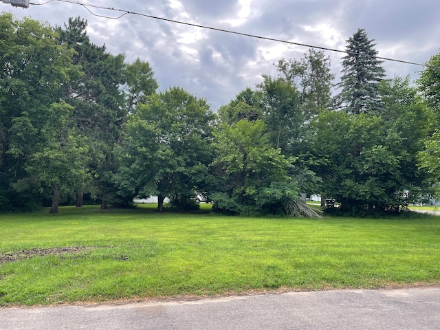 210 4th Ave S, Princeton, MN 55371 - photo 1