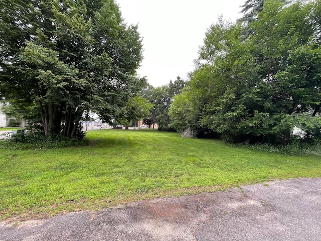 210 4th Ave S, Princeton, MN 55371 - photo 4