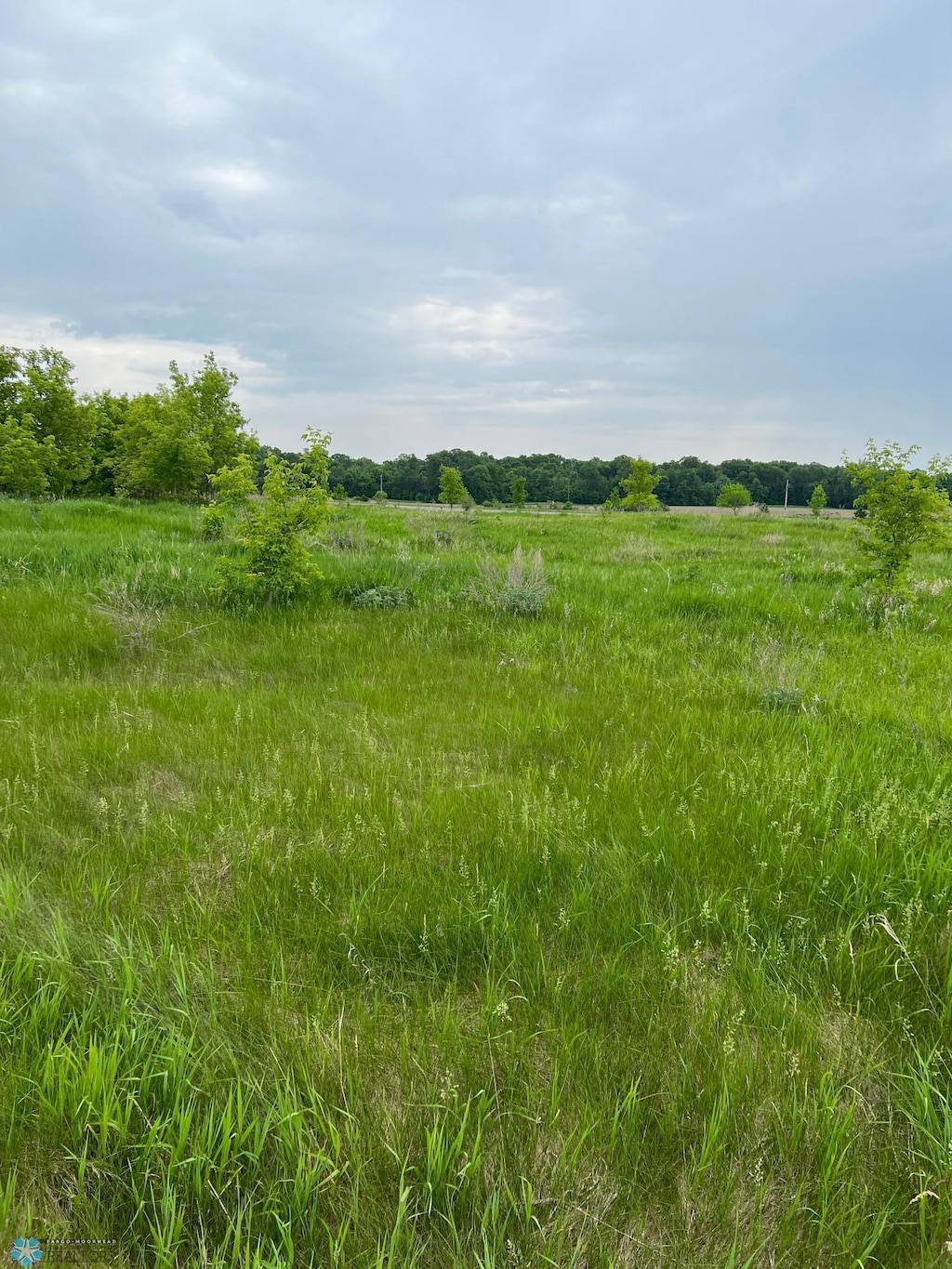 TBD Tbd, Rush Lake Twp, MN 56528 - photo 3