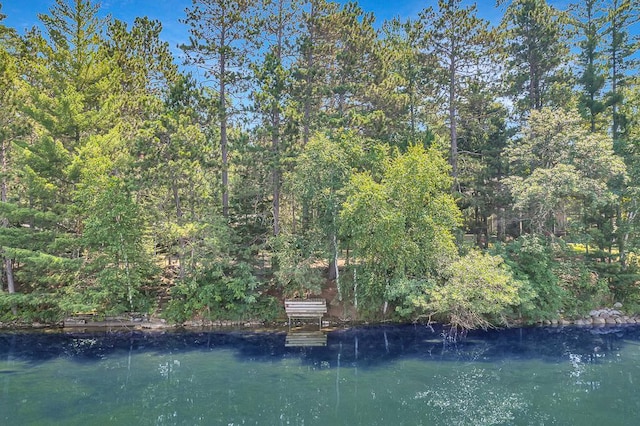 27601 County Road 107, Pequot Lakes, MN 56472 - photo 3