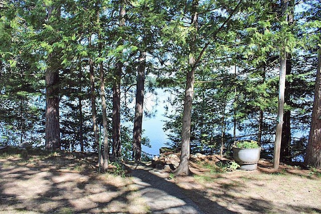 27601 County Road 107, Pequot Lakes, MN 56472 - photo 6