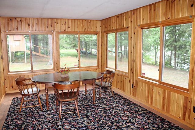 27601 County Road 107, Pequot Lakes, MN 56472 - photo 29
