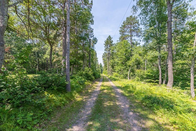27601 County Road 107, Pequot Lakes, MN 56472 - photo 33