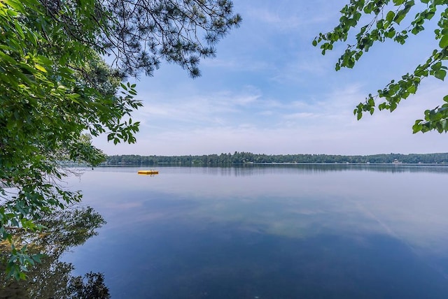 27601 County Road 107, Pequot Lakes, MN 56472 - photo 4