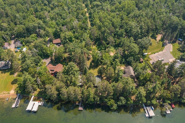 27601 County Road 107, Pequot Lakes, MN 56472 - photo 10