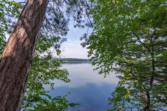 27601 County Road 107, Pequot Lakes, MN 56472 - photo 32